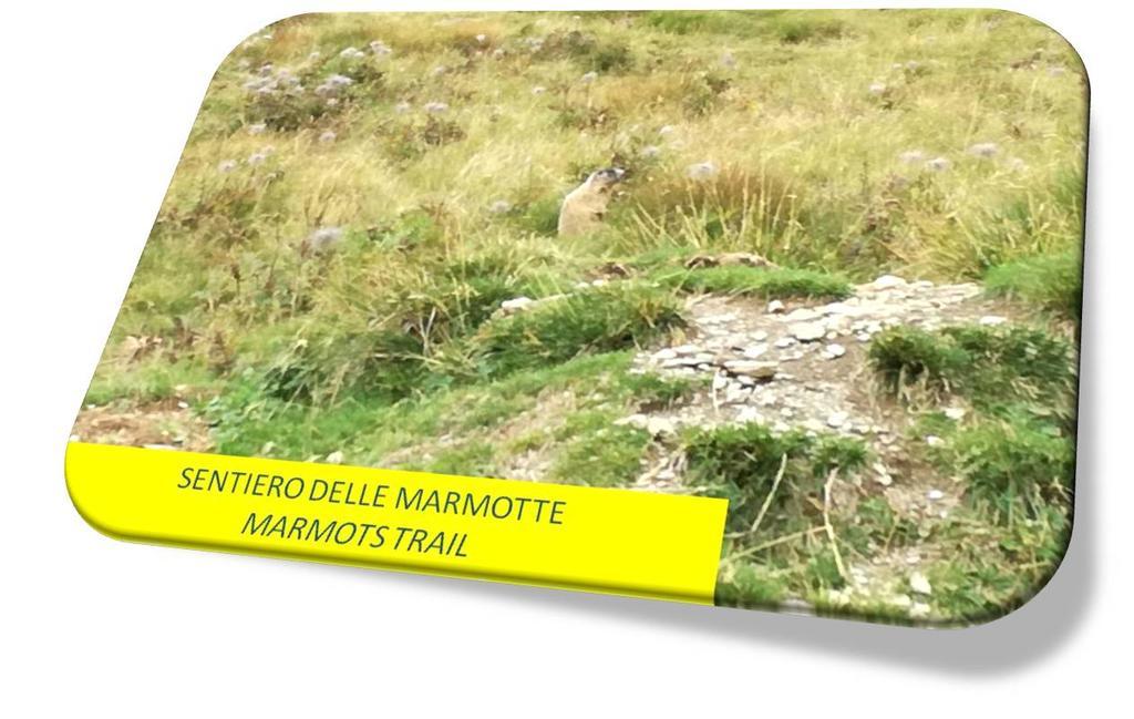Marmot Apartment ดิมาโร ภายนอก รูปภาพ