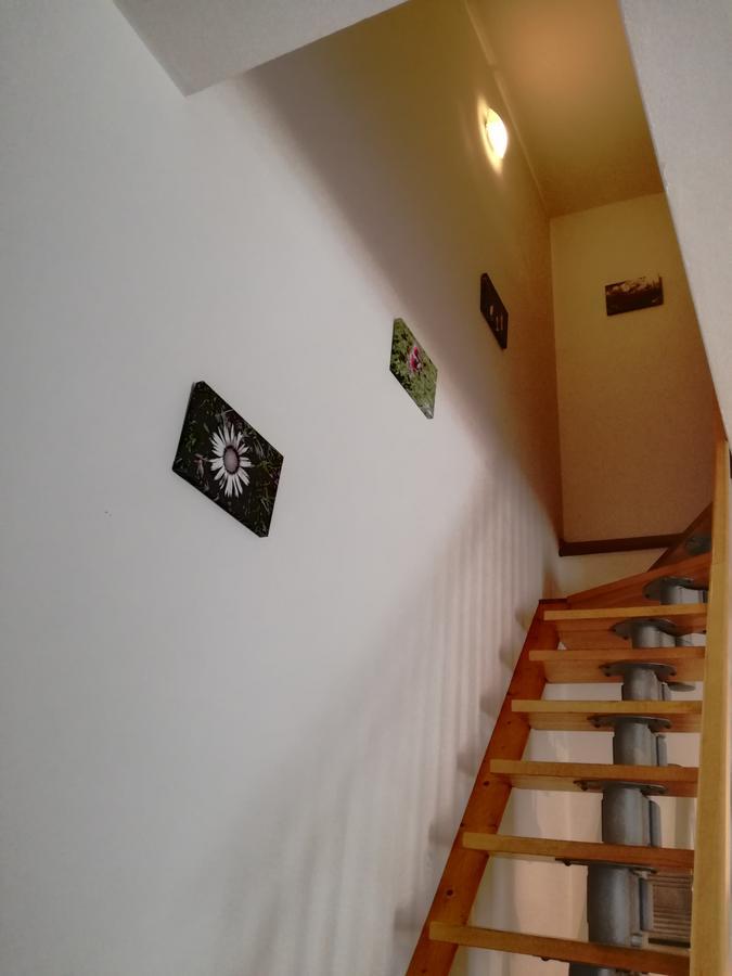 Marmot Apartment ดิมาโร ภายนอก รูปภาพ